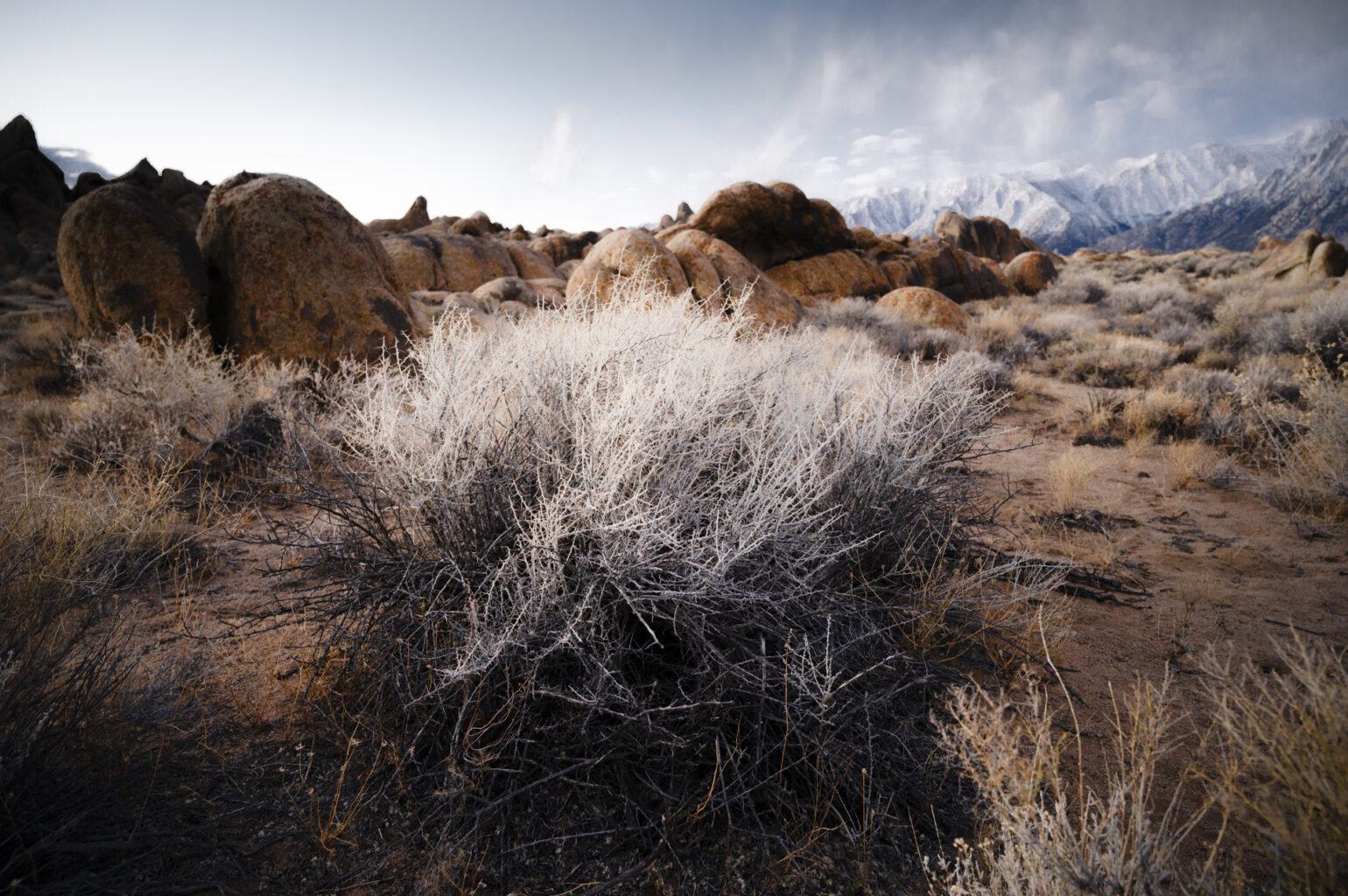 Alabama Hills 6813