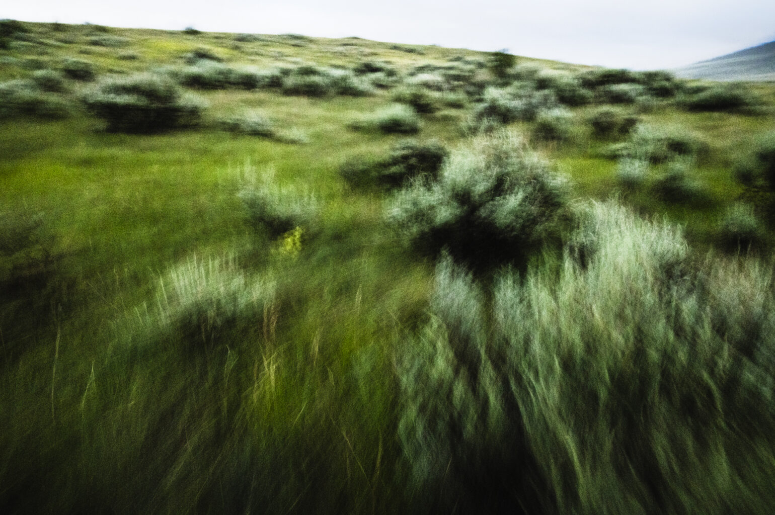 Paradise Valley 8697